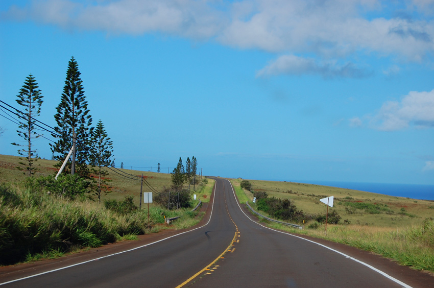 Area Near Maunaloa
