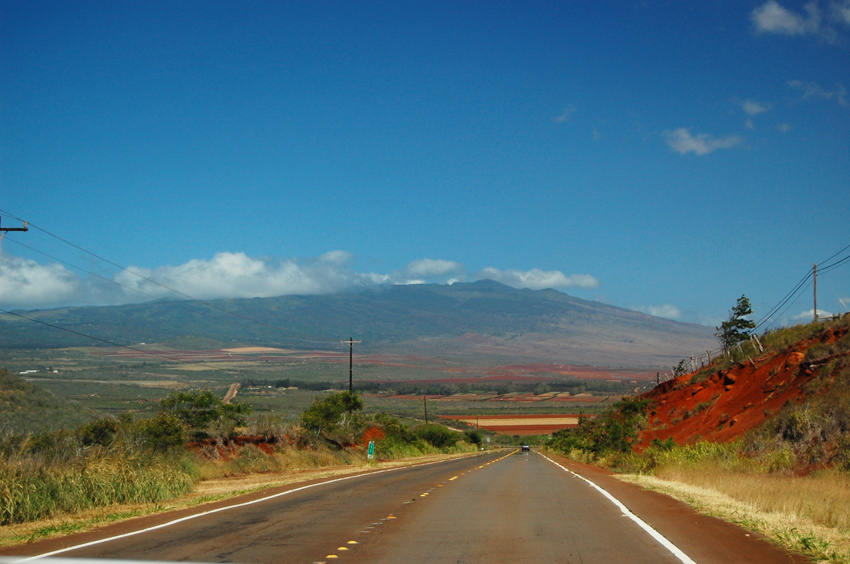 Mile Marker 11
