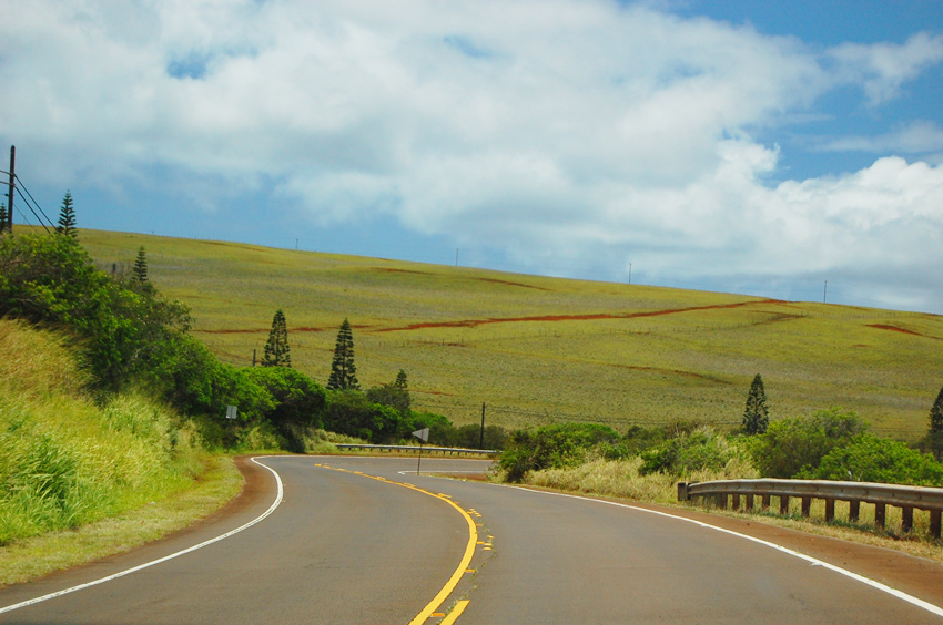 Scenic Molokai Road