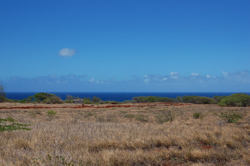 Panoramic Ocean Views 2