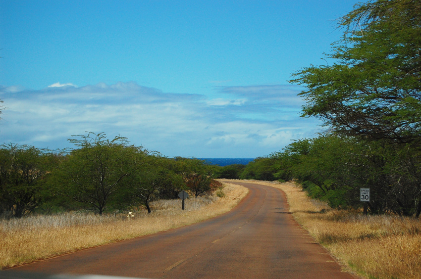 Scenic Driving