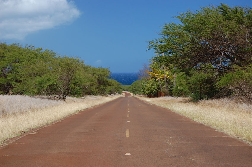 Scenic Driving 2
