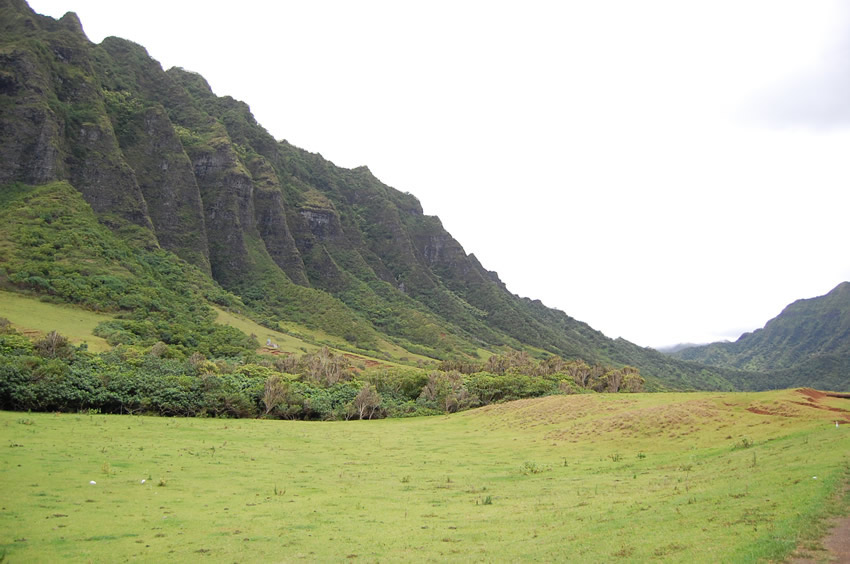 Green View