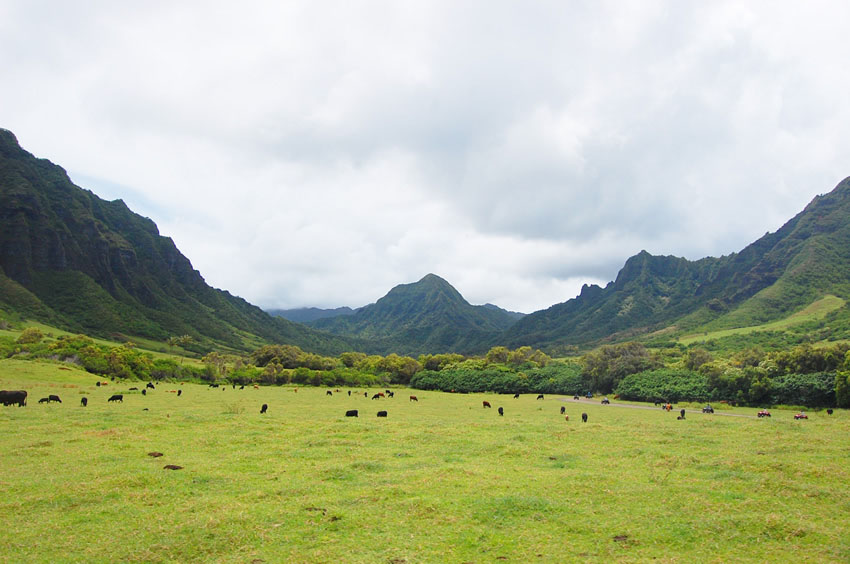 Kaaawa Valley2