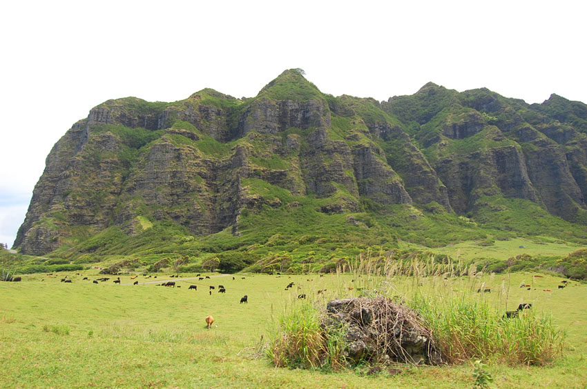 Popular Valley