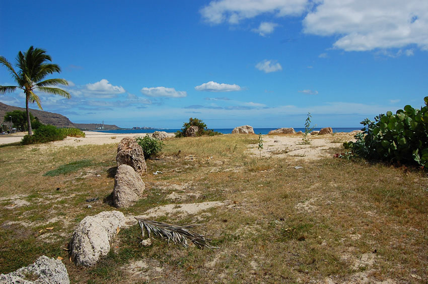 Remains of Hawaiian Settlement