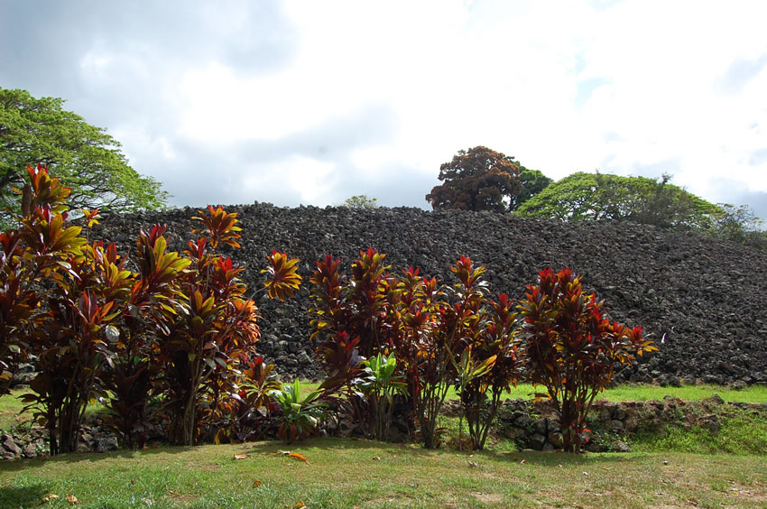 Colorful Flora Near the Stones