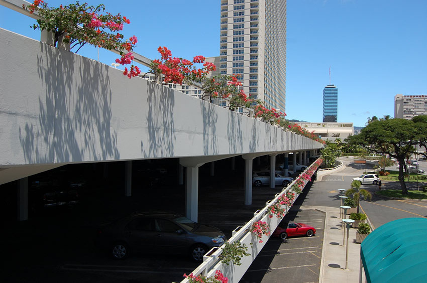 City View from the Parking Lot