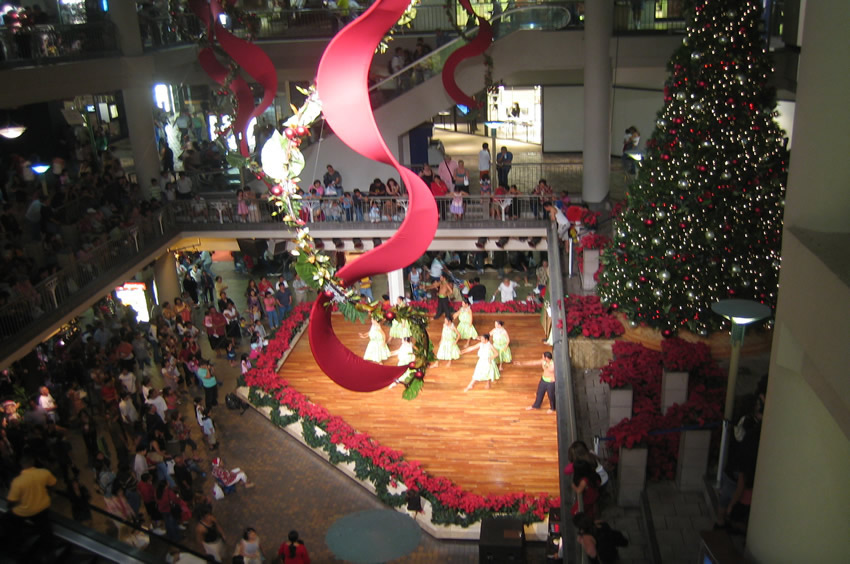 Hula Performance