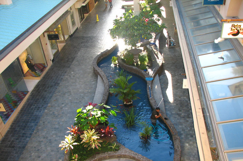 Level2 Fish Pond