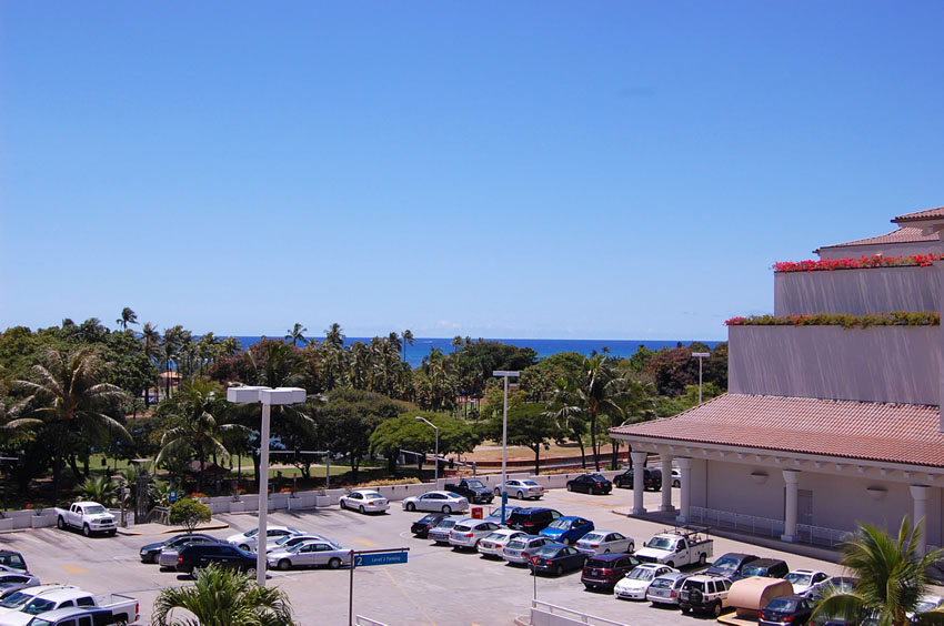 Tropical Scenery