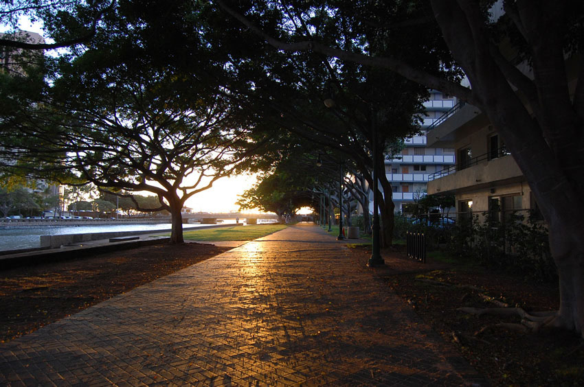 Ala Wai at Sunset 2