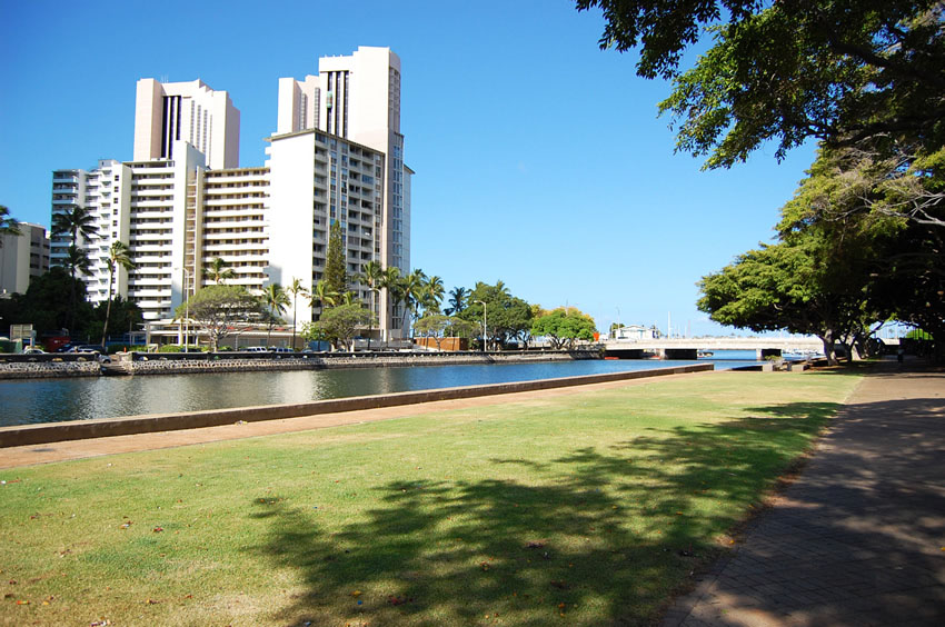 Grassy Area by the Ala Wai Canal
