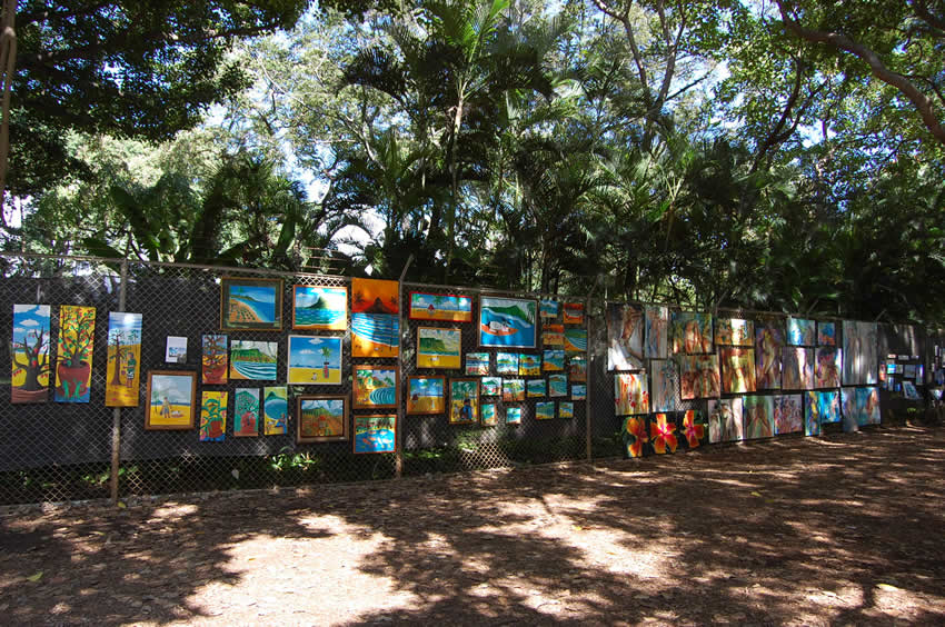 Beautiful Hawaiian Paintings
