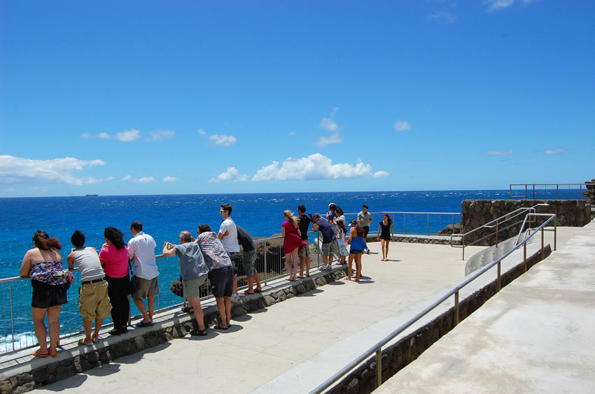 Popular Visitor Attraction
