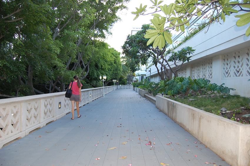 Perfect for Evening Walks