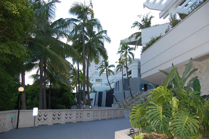 Tropical Garden