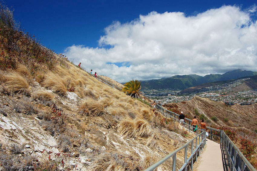 Scenic View on the Trail 1