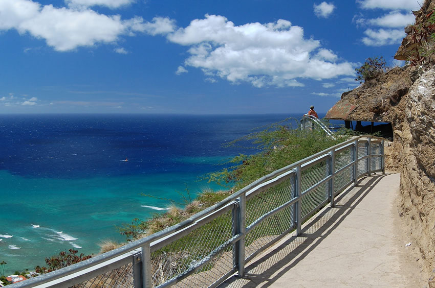 Scenic View on the Trail 2