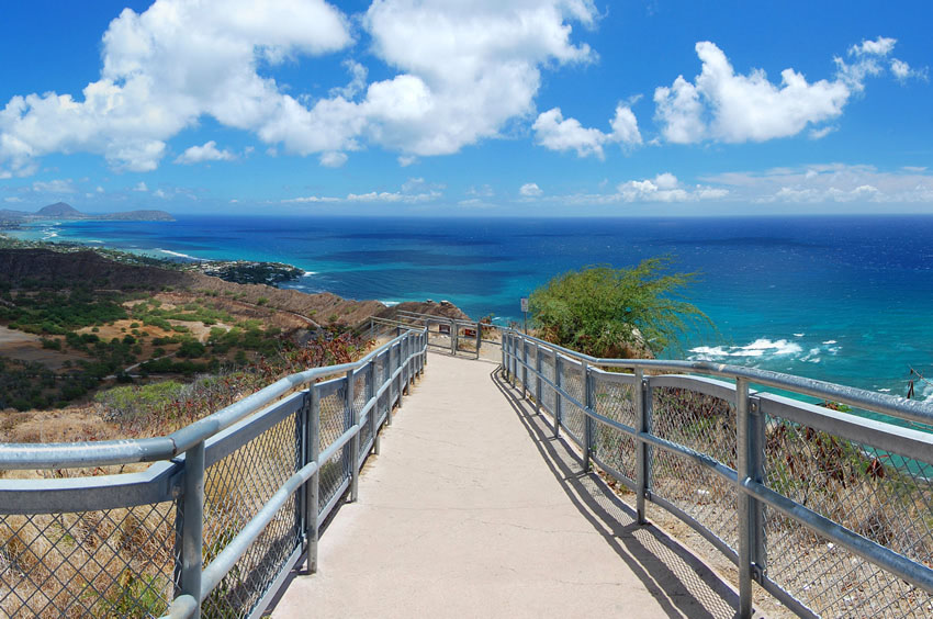 Scenic View on the Trail 3