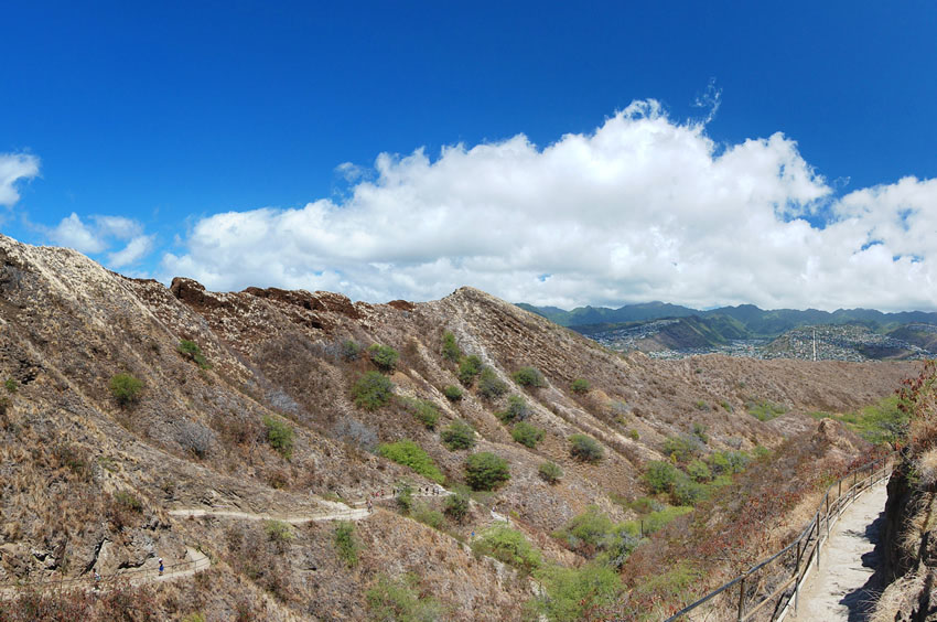 Scenic View on the Trail 5