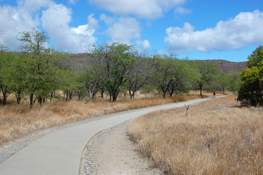 Start of the Trail