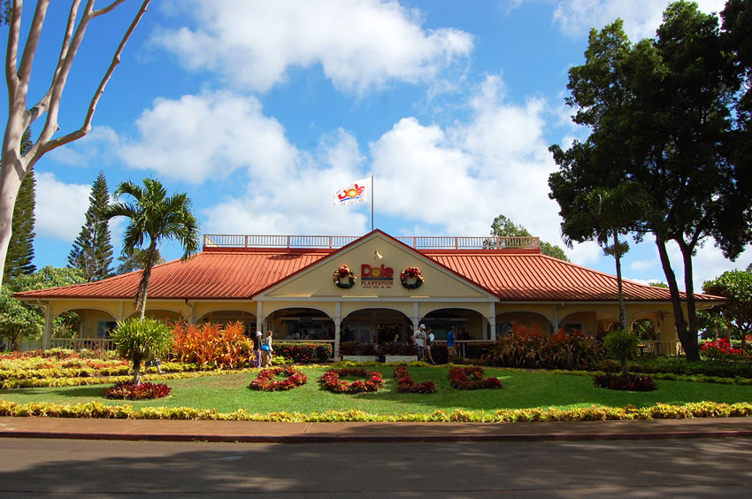 Dole Pineapple Plantation