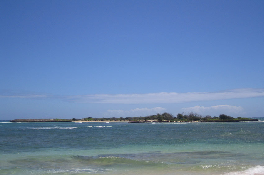 Goat Island