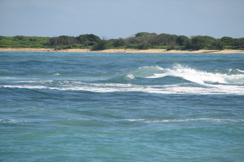 Goat Island Shore