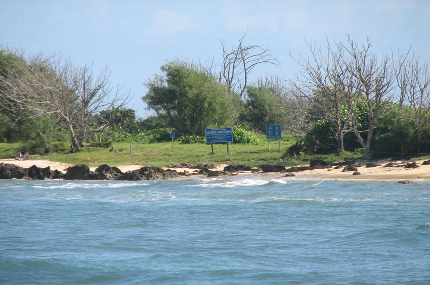 Seabird Sanctuary