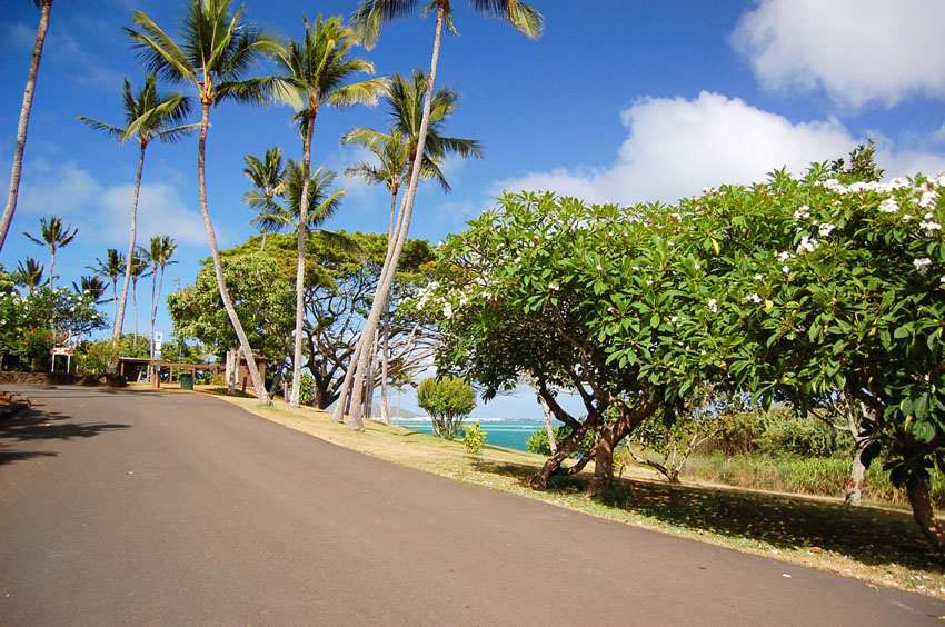 Entry Road 2