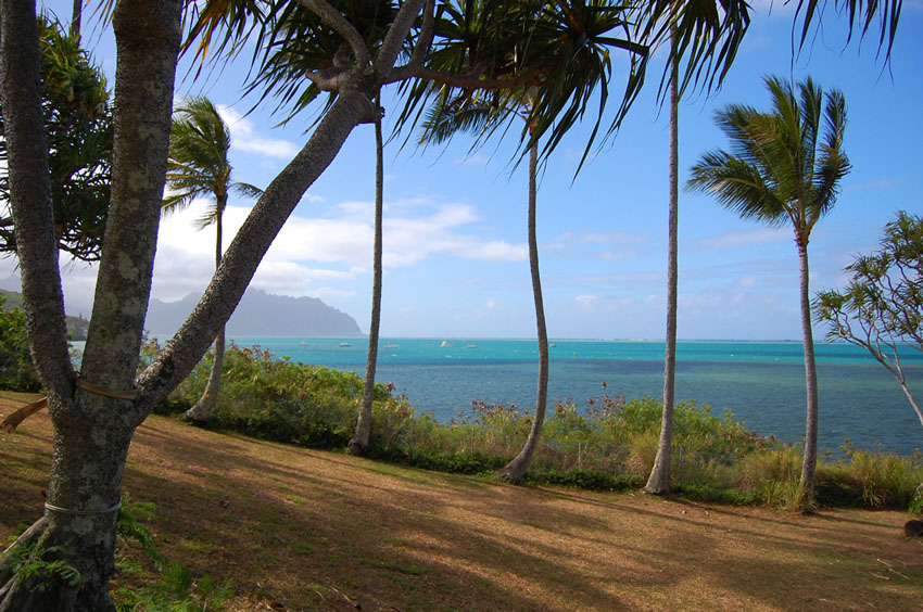 Good Park for Picnics