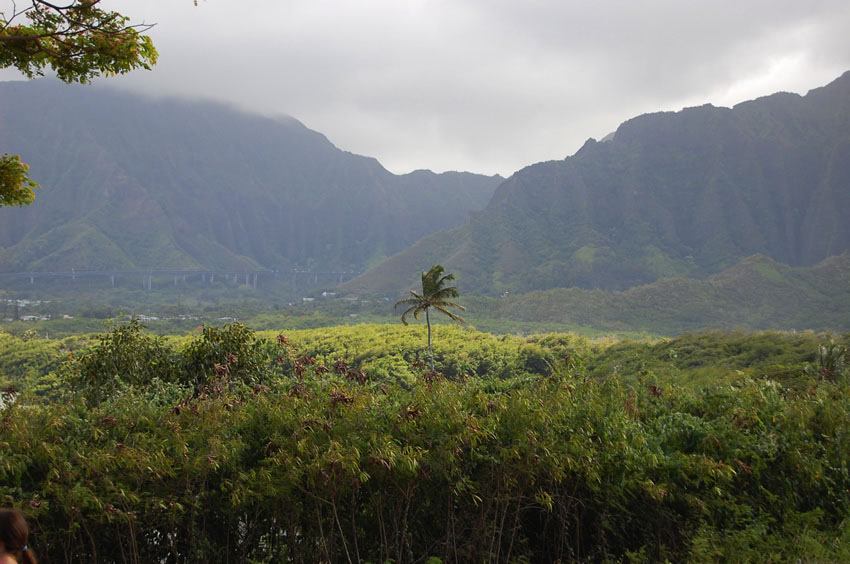 Koolau Mountain Range