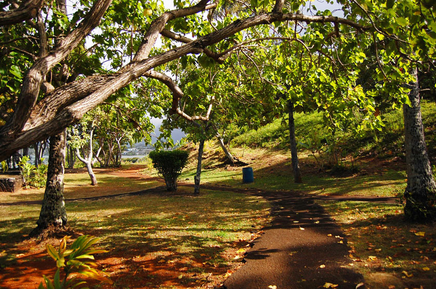 Park Walkway