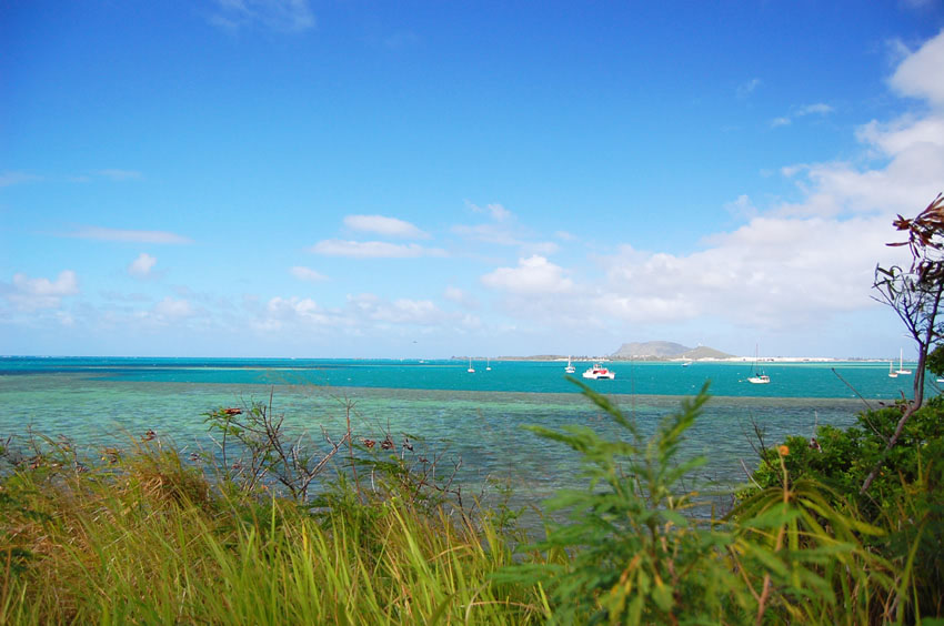 Scenic Ocean Views 2