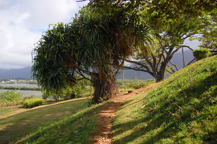 Short Trail