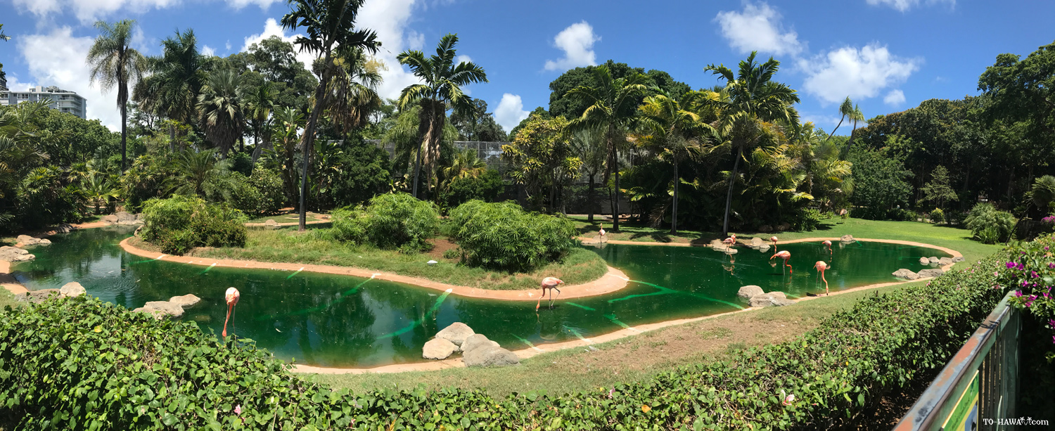 Honolulu Zoo 1