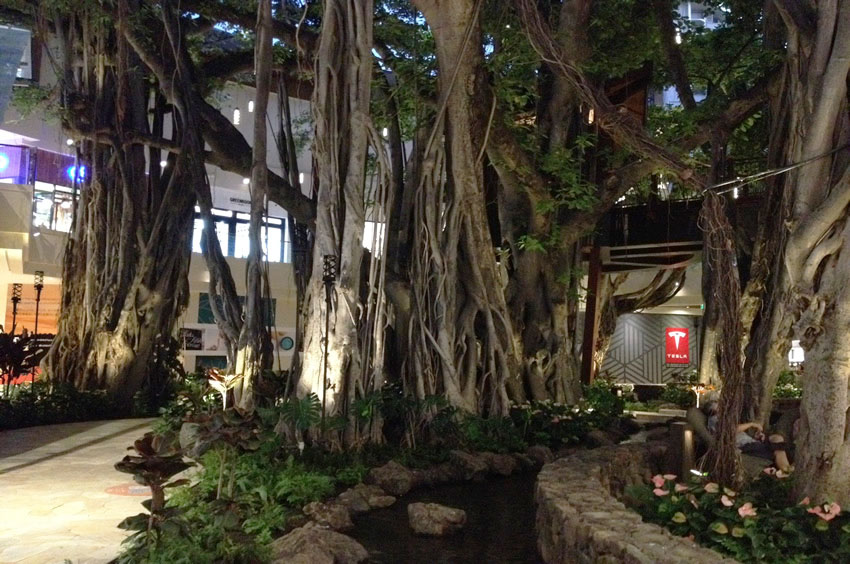 Iconic Tree