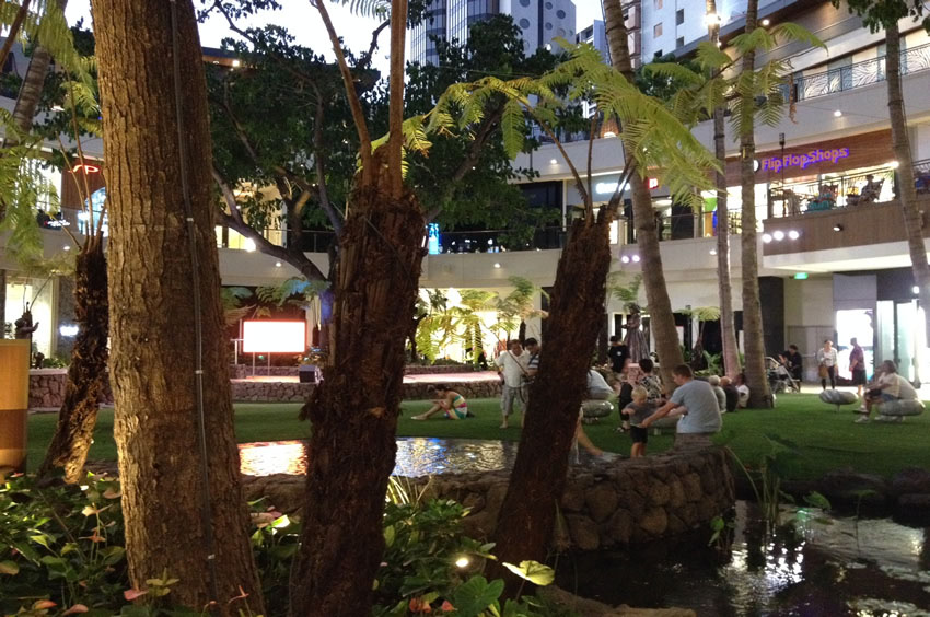 Tropical Setting
