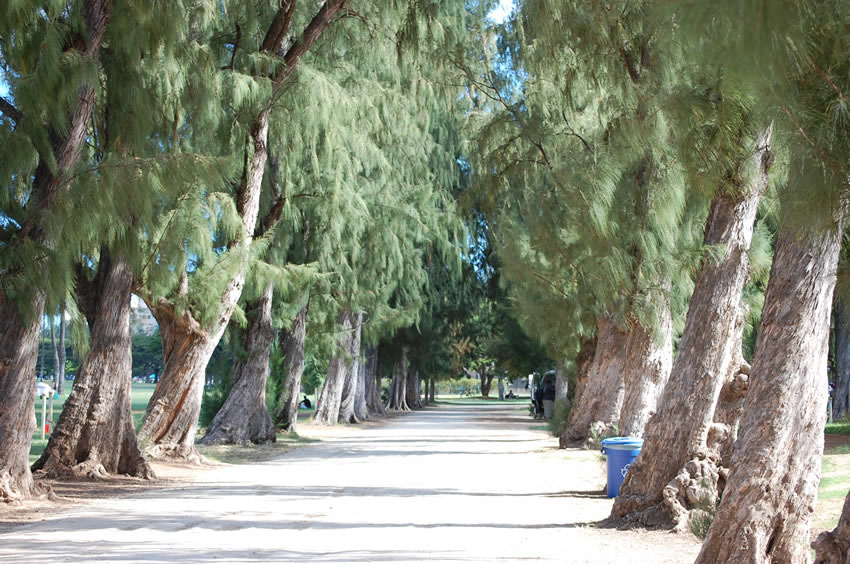 Park Walkway