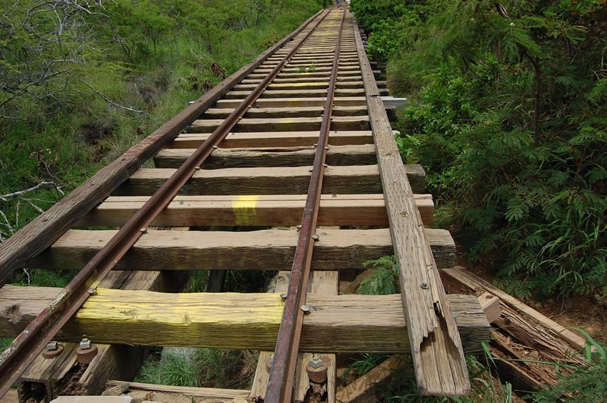 Challenging Bridge in the Middle of the Hike