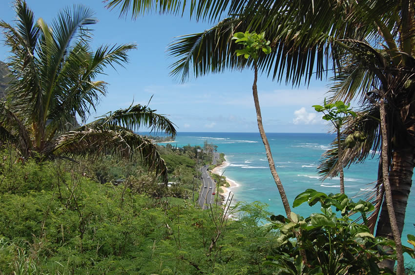 Scenic Lookout