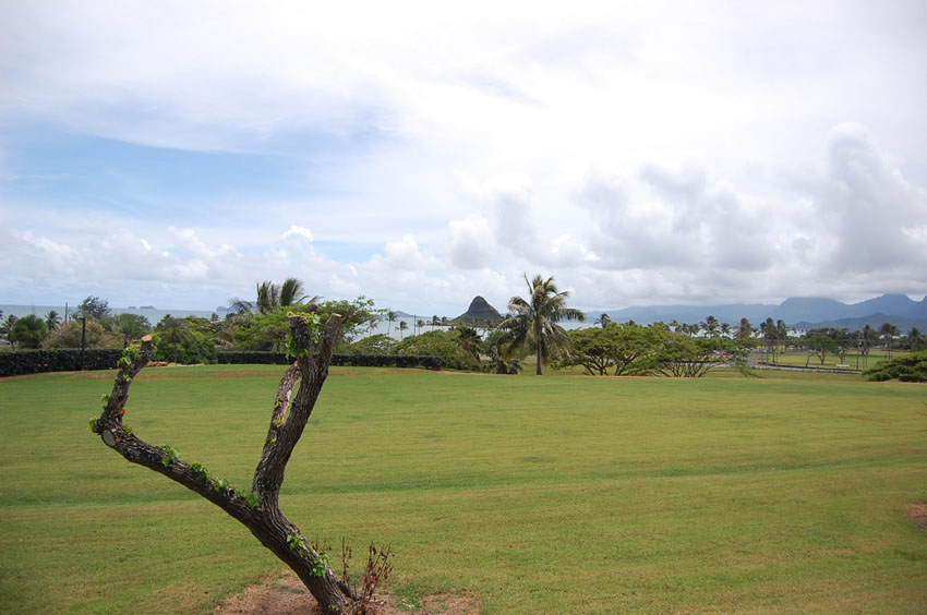 View to Chinamans Hat