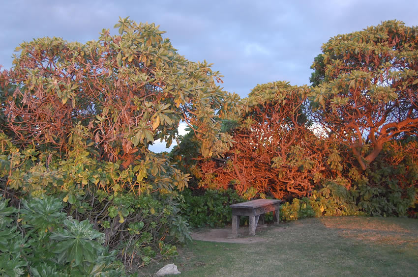 Bench with View 2
