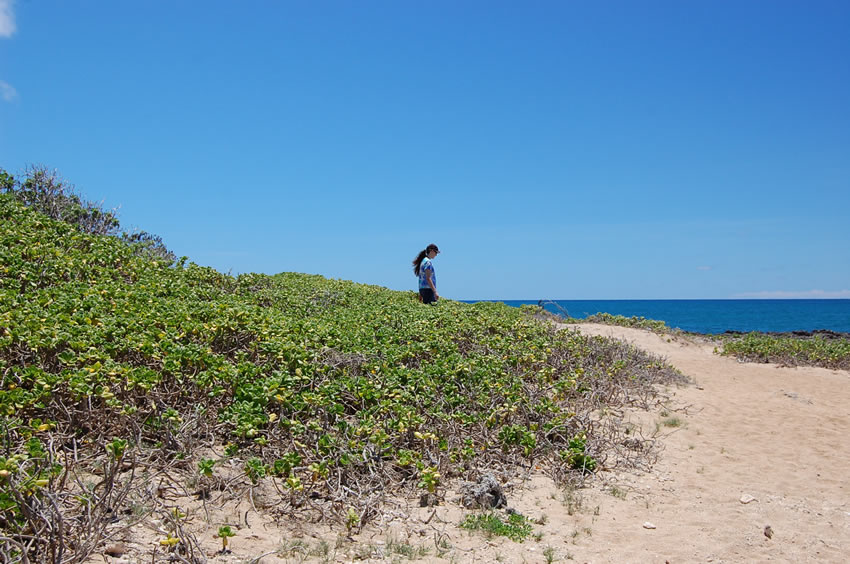 Hiker Exploring the Area