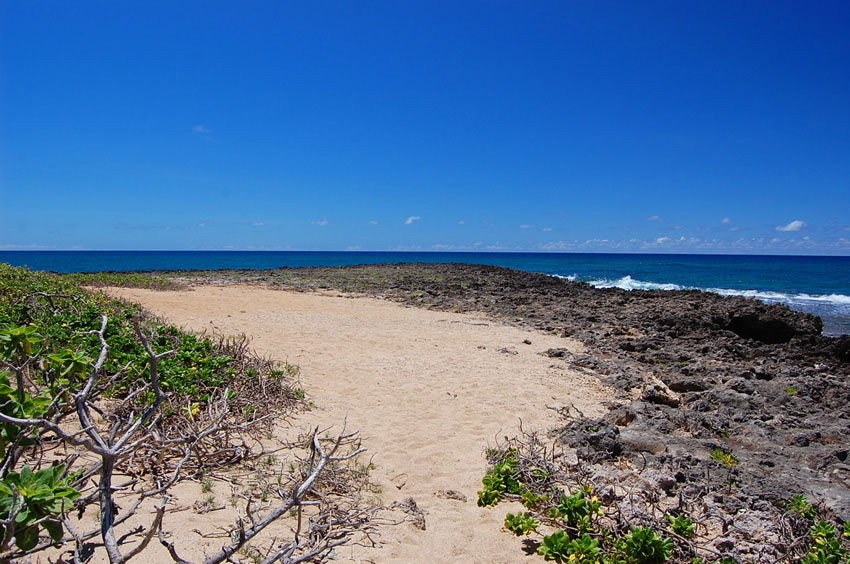 Kuilima Point Scenery 1