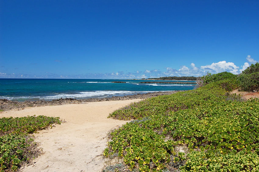 Kuilima Point Scenery 2