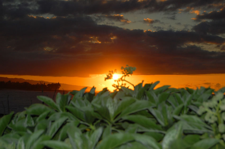 Kuilima Point Sunset 2