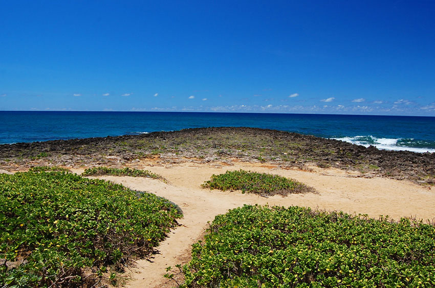 Scenic Peninsula