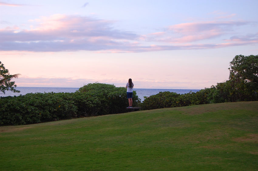 Scenic View